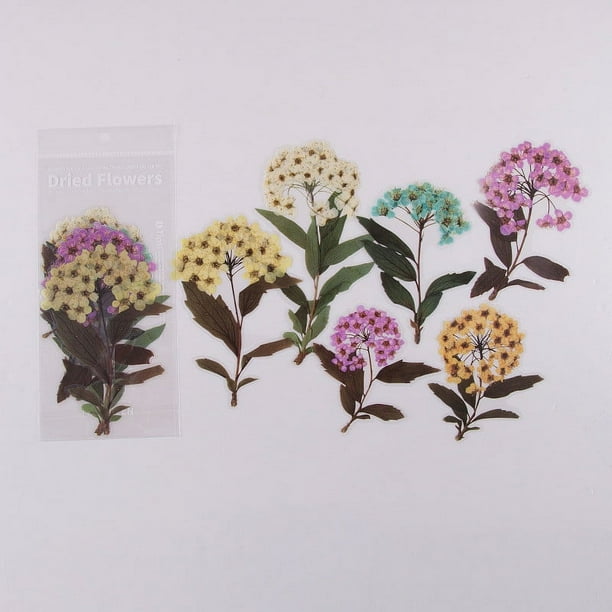6pcs/pack Flower Shop Series Decorative Stickers - Perfect for Scrapbooking, Labeling, Diary Albums & More!