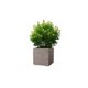 thumbnail image 1 of MACETA CUBO DEROMA 25X25cm ARENA, 1 of 3