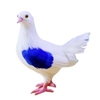 Magideal - Modelo De Paloma Artificial, Simulación De Paloma, Animal Decorativo, Adorno De Jardín, Modelo De Pájaro Con Plumas Para Decoración Del Hogar, Arte De