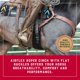 thumbnail image 2 of Cincha Roper Weaver Equine de Nylon Antideslizante 86 cm, 2 of 6