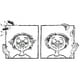 thumbnail image 2 of Libro El Horroroso Monstruo Lindo, 2 of 5