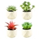 thumbnail image 1 of Planta de simulación de interior Planta de simulación de interior Planta de escritorio de oficina en casa Decoración, 1 of 5
