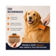 thumbnail image 4 of FURminator Perro Pelo Corto M Deslanador, 4 of 8