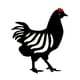 thumbnail image 5 of Estacas De Pollo Negro Grande Patio Al Aire Libre Decoración De Jardín Patio Art Metal Art Hen, 5 of 5