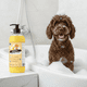 thumbnail image 3 of Super Shampoo Pelaje Rubio Orgánico 1 Lit Perros & Mascotas, 3 of 3