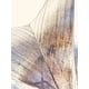 thumbnail image 2 of Estrella De Genero De Metal Dorada 65Cm, 2 of 3