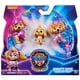 thumbnail image 1 of Paw Patrol Mighty Set Figuras Skye, 1 of 3