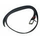 thumbnail image 3 of Cinturon De Buceo Marsellesa Elasticado, 3 of 3