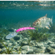 thumbnail image 3 of Storm Deep Thunder 11 cm 28 g – Señuelo Trollin Color Rosa Puntos, 3 of 3