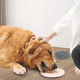 thumbnail image 4 of Plato De Silicona Lento Lick Mat Para Perros Y Gatos Gris Oscuro, 4 of 7