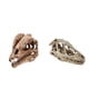 thumbnail image 1 of 2pcs Resina Dinosaurio Cráneo Modelo Dinosaurio Resina Cráneo Modelo Coleccionables, 1 of 5