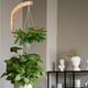 thumbnail image 3 of Ganchos De Pared De Madera De 20 Cm Para Plantas 2 Piezas Madera Natural, 3 of 5