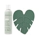 thumbnail image 1 of Brocha de maquillaje, almohadilla limpiadora y champú Deep Clean EcoTools, 1 of 9