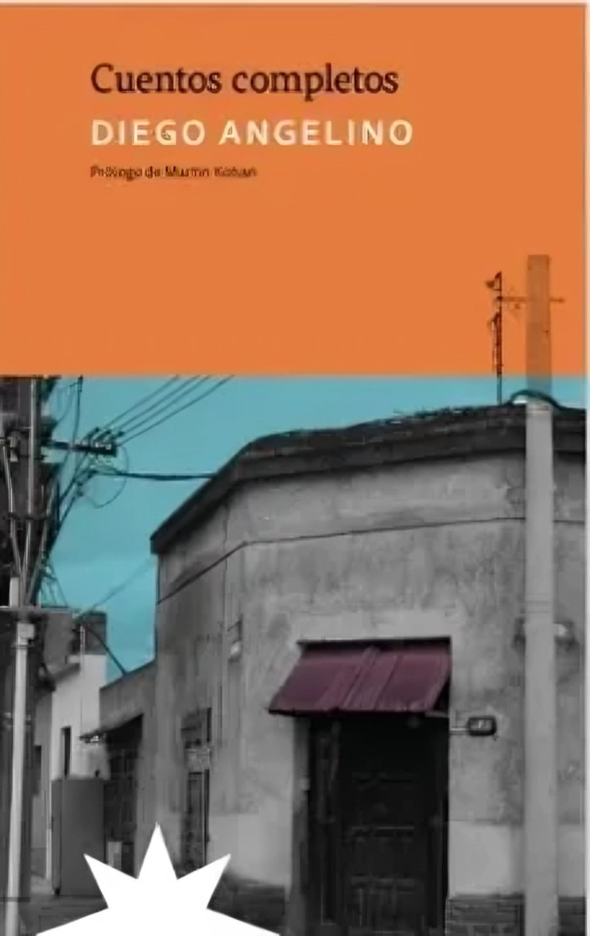 Big Sur - Libro Cuentos Completos - Diego Angelino