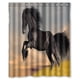 thumbnail image 1 of Cortina de ducha de caballo negro, juego de cortina de baño con ganchos, tamaño 60 x 72 pulgadas, 1 of 3
