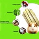 thumbnail image 3 of Palitos De Bambú De Rabbit Chew Toys 300 G, 3 of 7