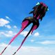 thumbnail image 1 of Kite Catch&Hunt, 43 pies, grande, para adultos, pez dorado 3D, rosa y negro, 1 of 6