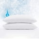 thumbnail image 1 of Paquete de 2 protectores de almohada Serta Power Chill Cooling, color blanco, 1 of 7