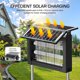 thumbnail image 2 of Mata Mosquitos Solar PhatroyYee AB570 Doble Panel 4500V, 2 of 3
