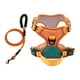 thumbnail image 1 of Arnés Para Perros Con Correa Ajustable Suave Con Clip Frontal Para Perros Mascotas Caminando Naranja Verde M, 1 of 3