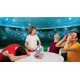 thumbnail image 4 of Juego de Preguntas Ultra PRO Fanzone de Fútbol con Zumbador Electrónico, 4 of 6