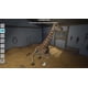thumbnail image 5 of Juego PS5 de Funbox Media – Mi práctica veterinaria en el zoológico, 5 of 9