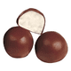 thumbnail image 2 of Coco Bañado en Chocolate, 2 of 2
