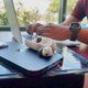 thumbnail image 3 of Puntas de espuma viscoelástica COMPLY para AirPods Pro 1 y 2, 3 of 8