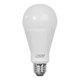 thumbnail image 1 of Bombilla LED Artograph EZ Tracer 25W 3050 lúmenes E26, 1 of 5