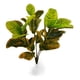 thumbnail image 1 of Planta Artificial Crotón Decoración Hogar Piso 75cm Jhn, 1 of 3
