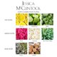 thumbnail image 2 of Perfume Rollerball Jessica McClintock para mujer, 10 ml, 2 of 4