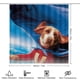 thumbnail image 2 of Underdog-theme 4-Piece Shower Curtain Set with Rugs, Waterproof Bathroom Decor Set Includes Bath Mat, U-Shaped Rug, Toilet Lid Cover and Curtain with Hooks, 2 of 6