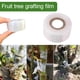 thumbnail image 3 of Professional Grafting Tape for Fruit Trees, Self-Adhesive Stretchable Polyethylene Film, 5cm Widths, 200 Meter Roll for Plant Repair and Budding, 3 of 3
