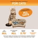 thumbnail image 5 of Cuencos para perros y gatos Feeder Neater Express, a prueba de suciedad, fabricados en EE. UU., 5 of 9