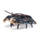 thumbnail image 5 of La figurita Papo Lobster estimula la imaginación y ayuda al aprendizaje, 5 of 7
