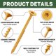 thumbnail image 3 of Tornillos para madera exterior LIONMAX Torx T25, 3 of 3