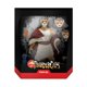 thumbnail image 1 of Figura de acción ThunderCats Ultimates Pumm-Ra 18 cm Super 7, 1 of 2
