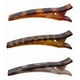 thumbnail image 3 of Set de 6 Pinza tipo tiburón para el pelo - promo 6, 3 of 3