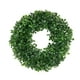 thumbnail image 2 of Guirnalda Artificial Suministros De Fiesta Aro Floral Para Decoración Al Aire Libre S, 2 of 3