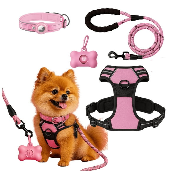 Set Arnes Correa Collar porta gps + Regalo rosa S