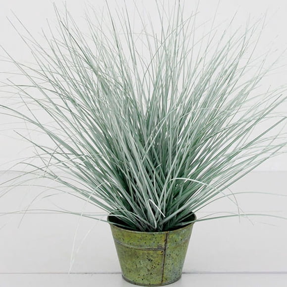 Planta Decorativa Pasto Cebra Gris 48 cm