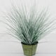 thumbnail image 1 of Planta Decorativa Pasto Cebra Gris 48 cm, 1 of 2