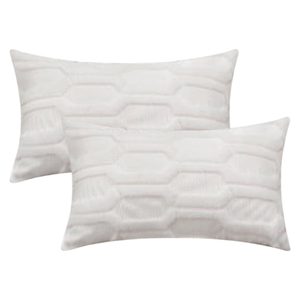 REGALWOVEN Juego de 2 fundas de cojín de felpa de color sólido suaves y acogedoras para decoración del hogar en sofá blanco 12" x 20"