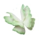 thumbnail image 5 of Mariposa Artificial 3D De 60 Cm Para Decoración De Bodas, Bricolaje, Escaparate, Color Verde, 5 of 5
