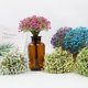 thumbnail image 2 of Xiao Hua Planta artificial, 16 Tallos/paquete, Flores Artificiales de Cielo Estrellado, Usada para Decoración, Ramo de Cielo Estrellado Simulado, Usada para Arreglo Floral, Morado Claro, 1 Paquete, 2 of 3