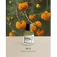 thumbnail image 2 of Perfume Eyfel W2 Berry EDP para mujer 50 ml, 2 of 8