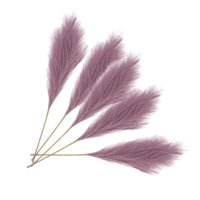 Bothyi - Faux Artificial Pampa Grass 70Cm Ramo De Decoración Para La Decoración Del Hogar Púrpura