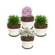 thumbnail image 2 of Set de 4 Maceta Greta 14cm Blanca y sus platos, 2 of 3