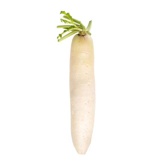 Rábano Blanco, 1 Un
