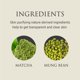 thumbnail image 3 of Limpiador facial YUNJAC Whole Plant Daily Foam Matcha 80 ml, 3 of 4